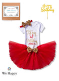 Birthday Costume Princess Theme Dressing up Toy Baby Girl Party Fancy Wear with Tutu Skirt, Cake Topper and Floral Headband