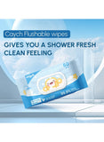 CAYCH Toilet Tissue Flushable Wipes – Biodegradable, Septic-Safe, Eco-Friendly, Alcohol-Free, Gentle on Skin, Daily Use Wipes for Adults Kids