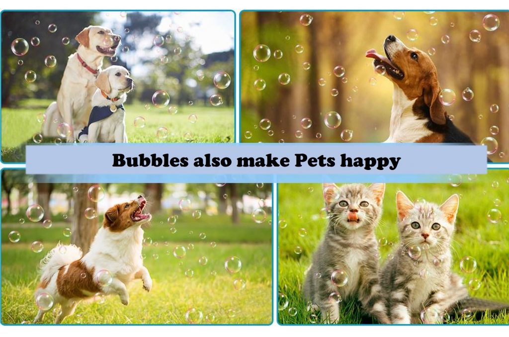 Pets are enjoying bubbles